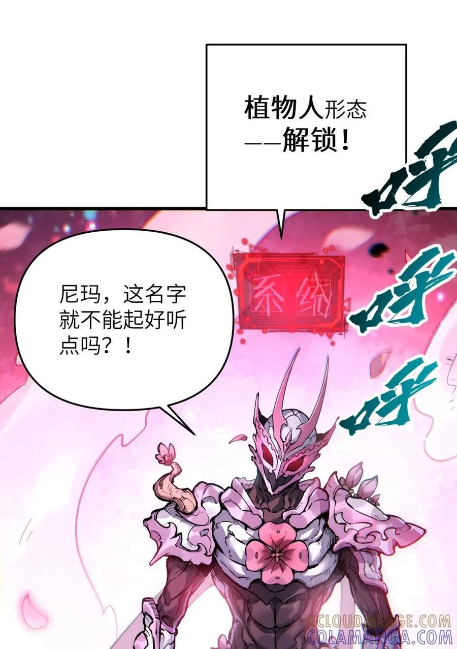 第243页