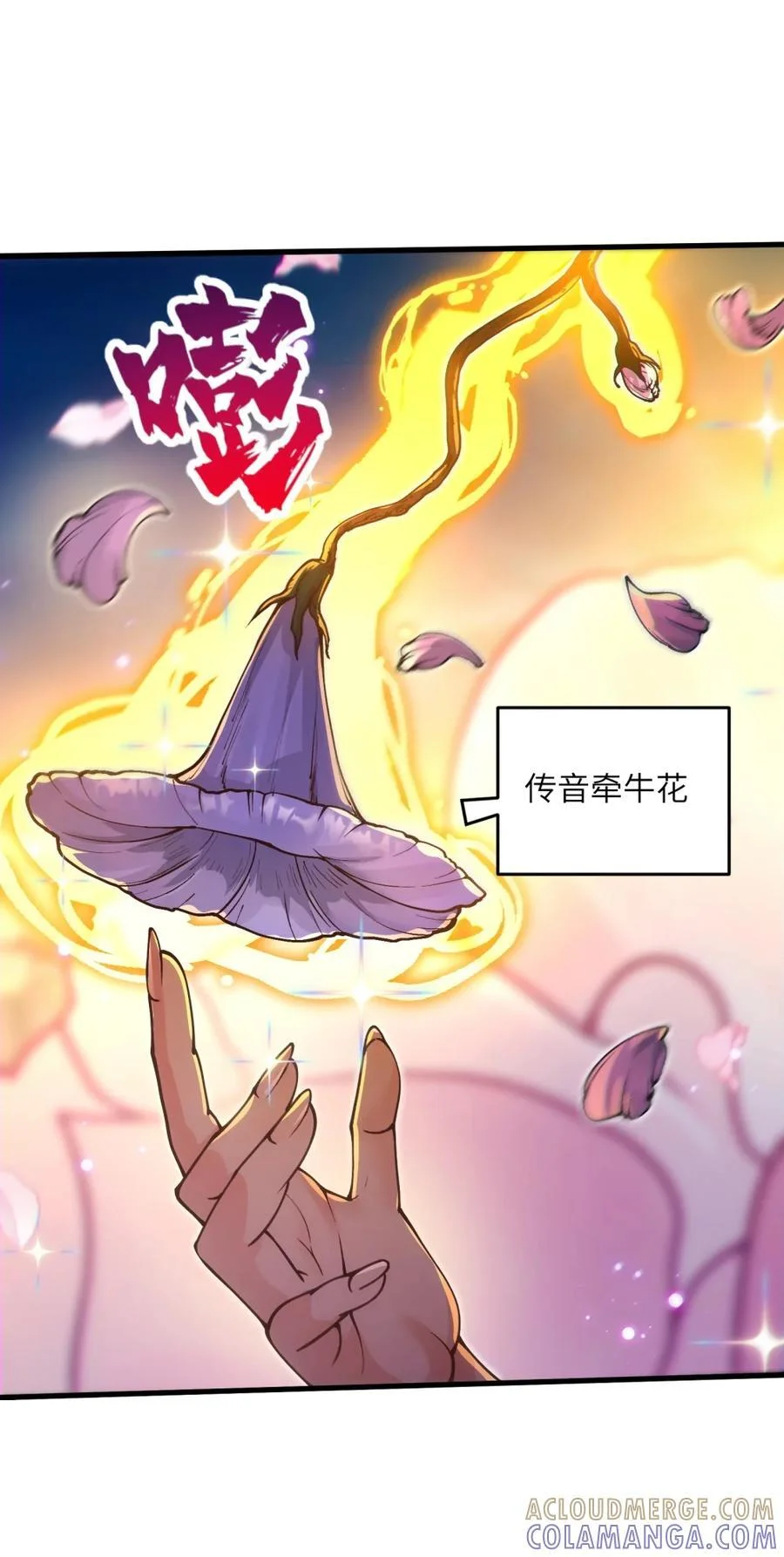 第72页