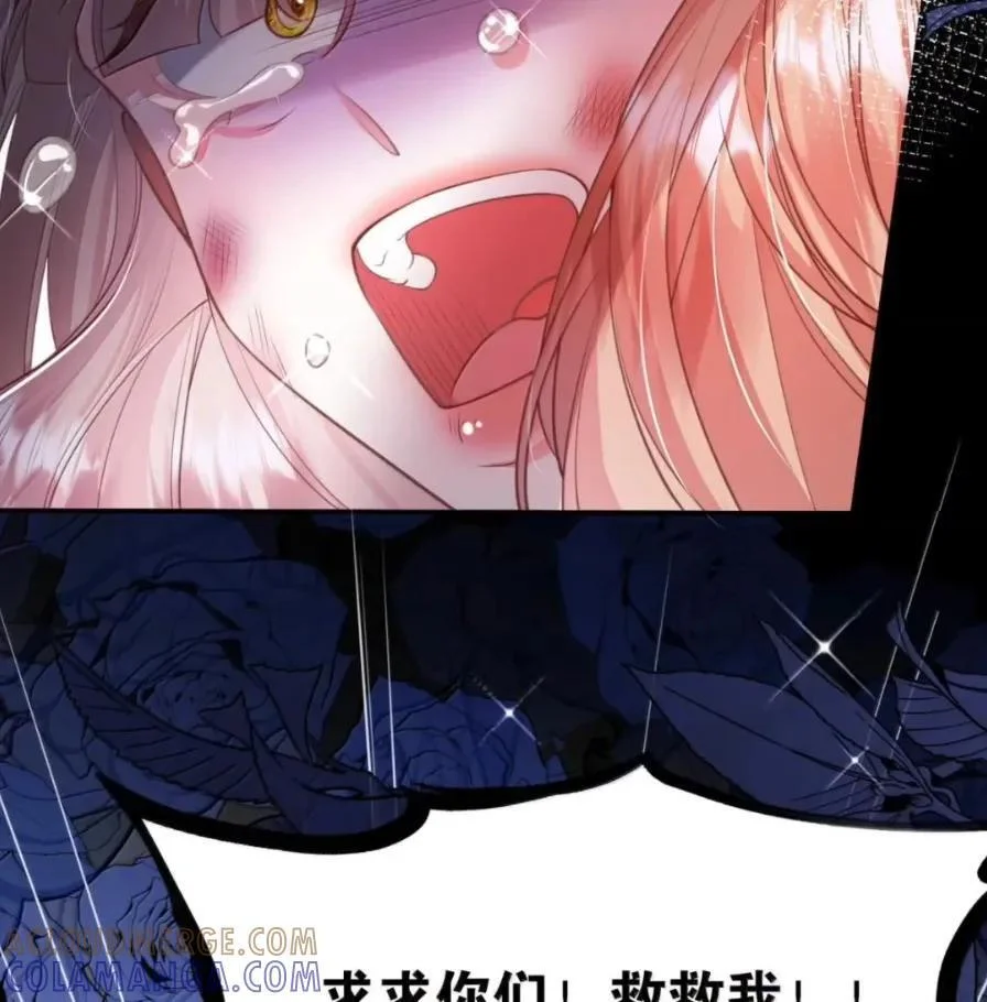 第216页