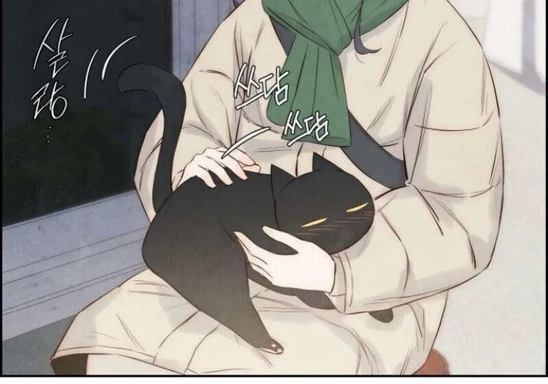 第546页