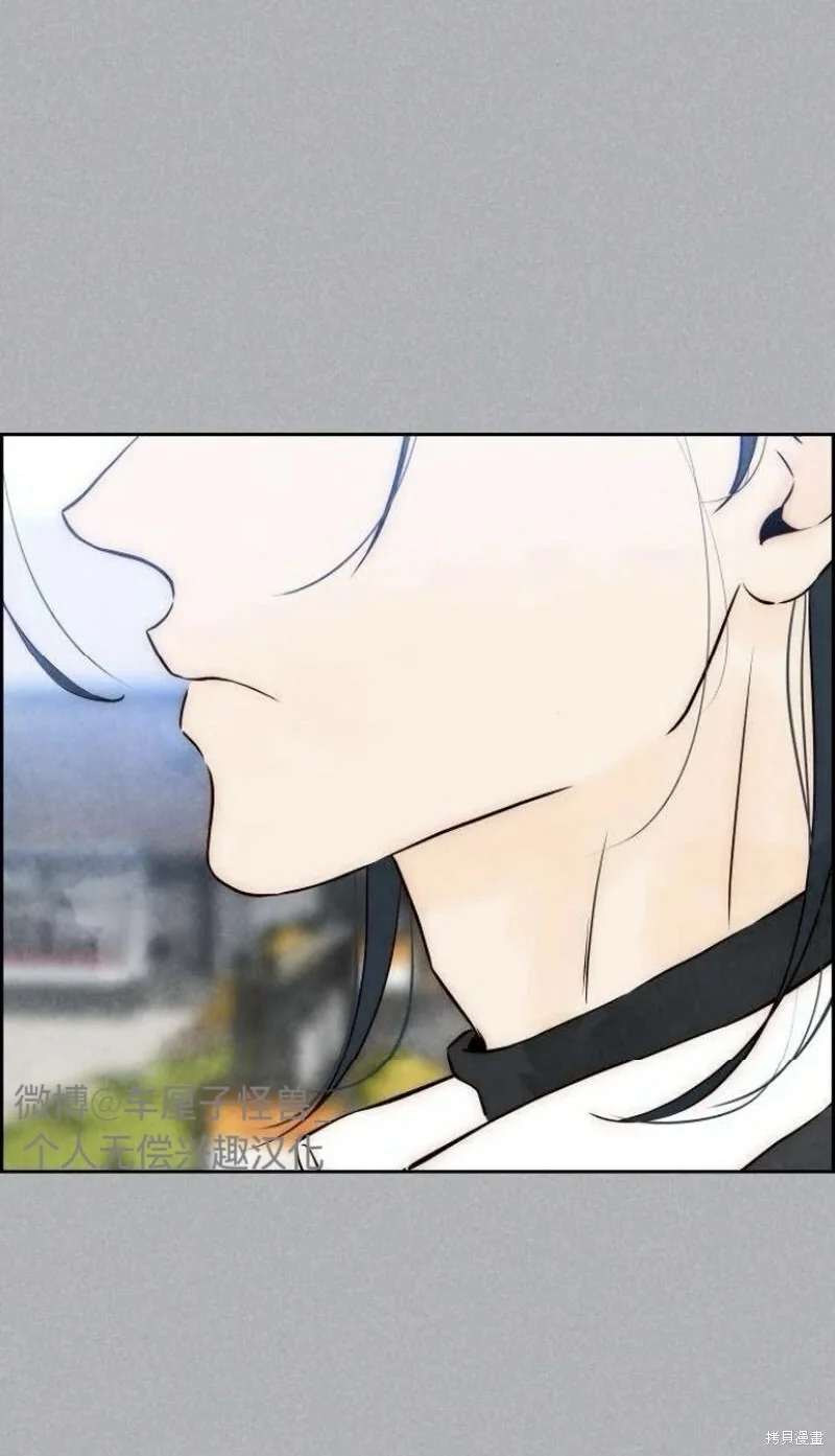 第498页