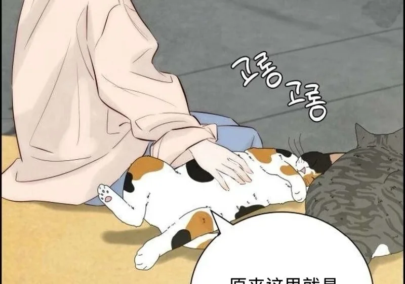 第195页