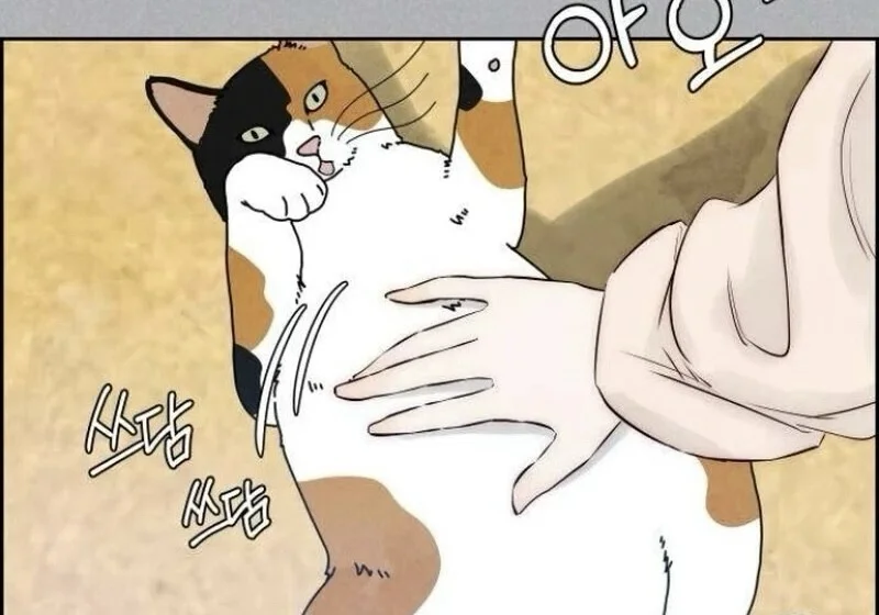 第180页