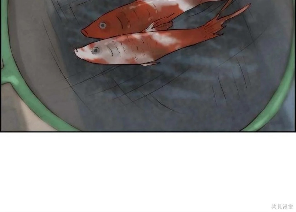 第369页