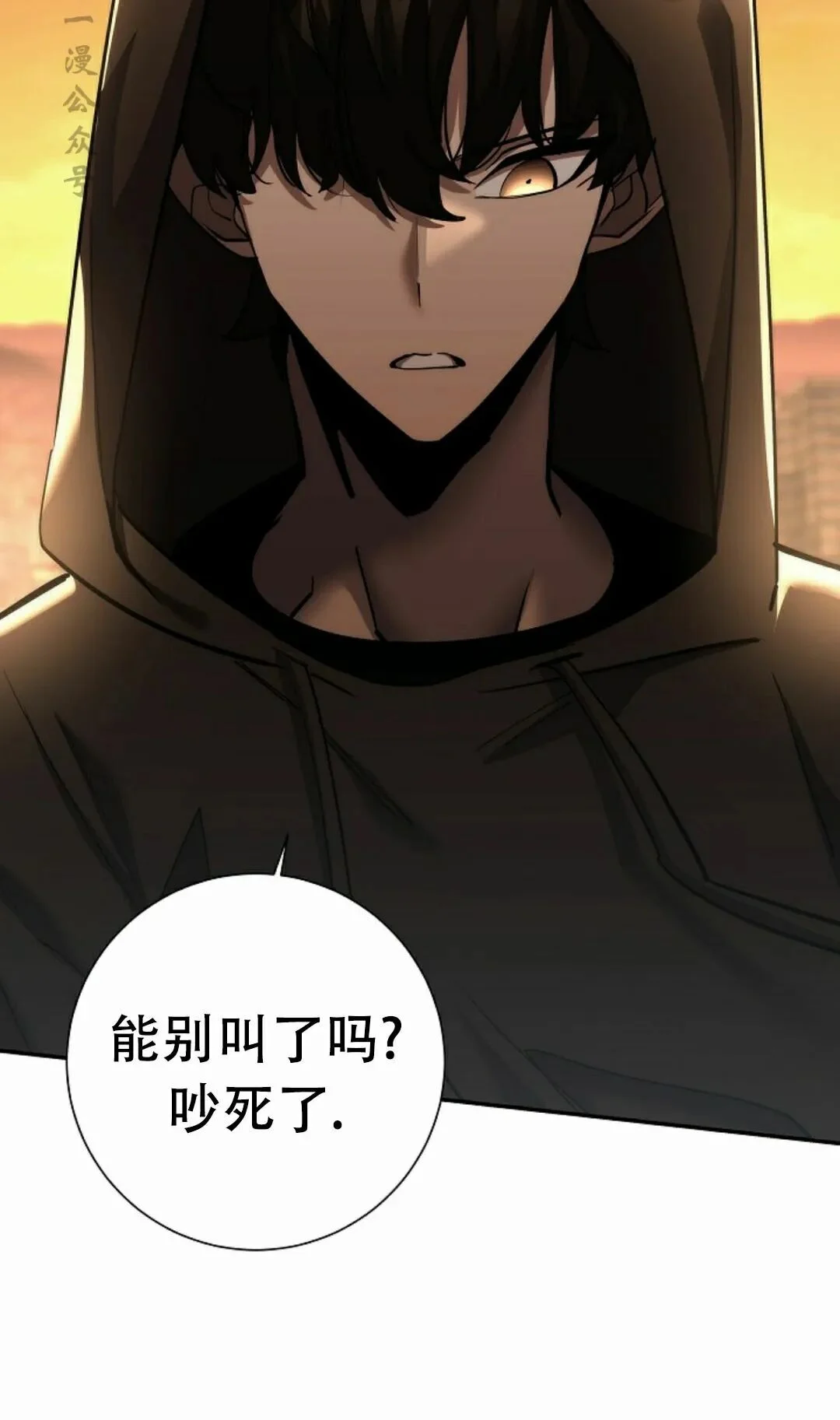 第213页