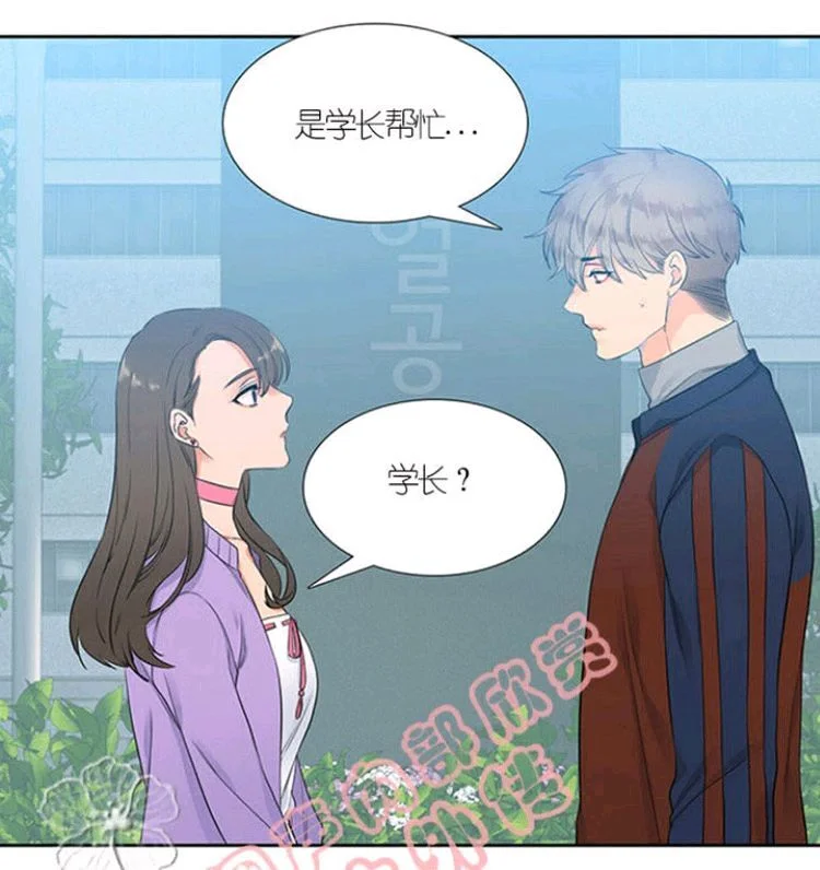 第519页