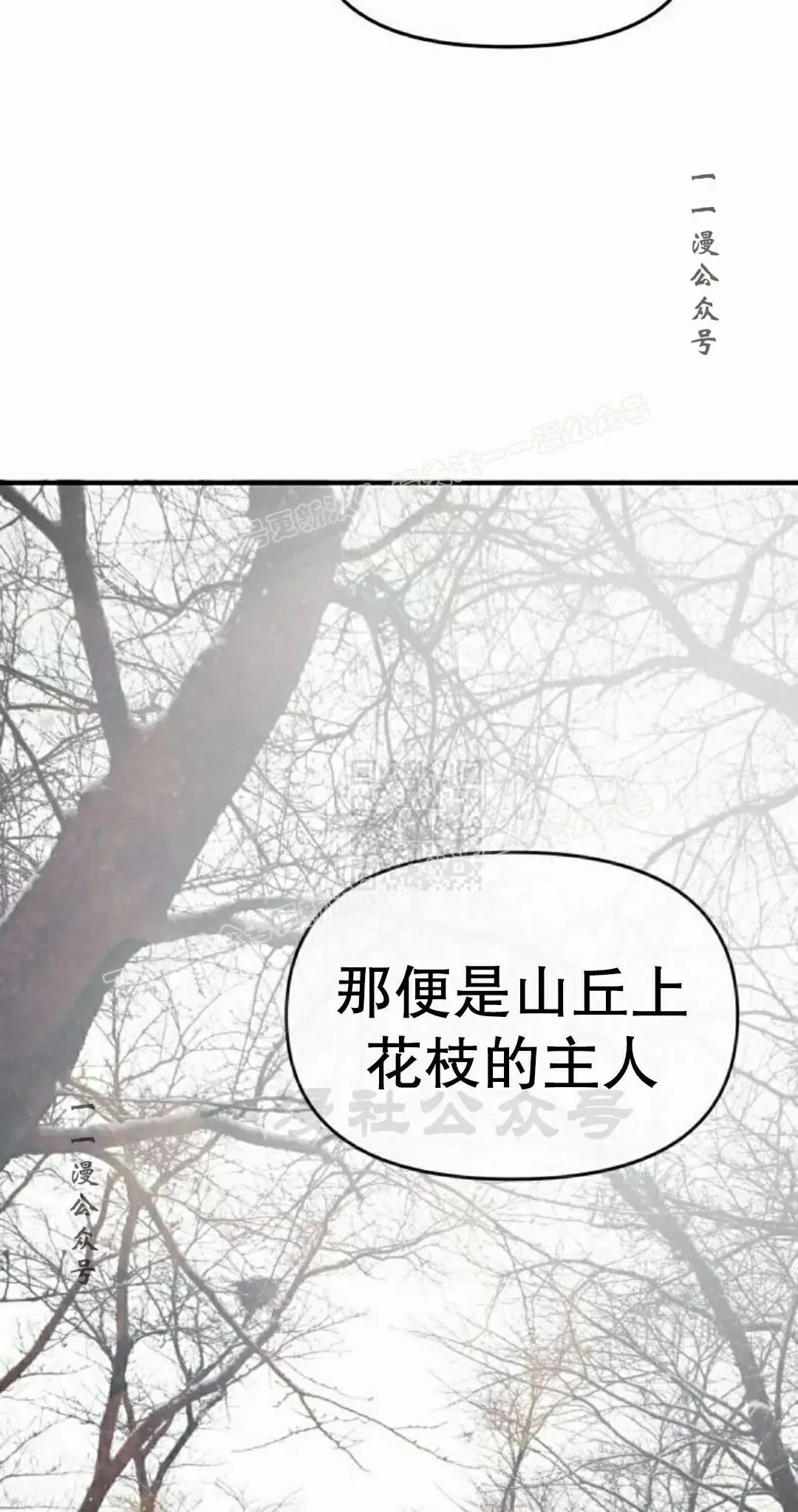 第678页