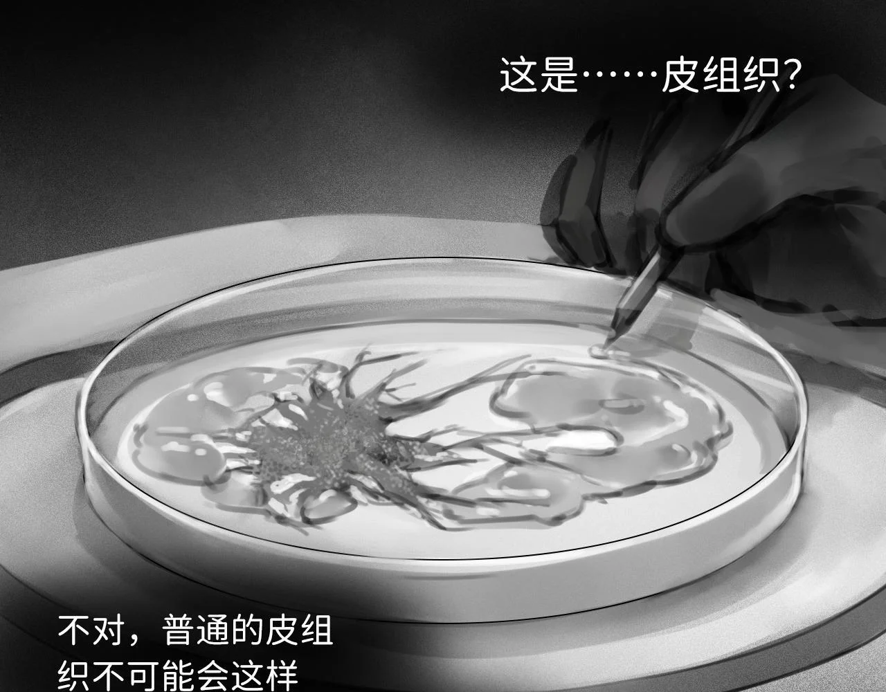 第231页