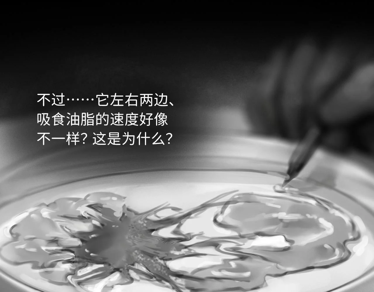 第237页