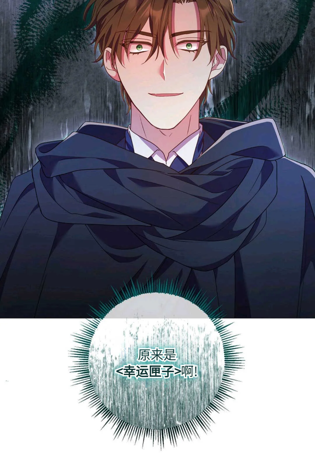 第291页