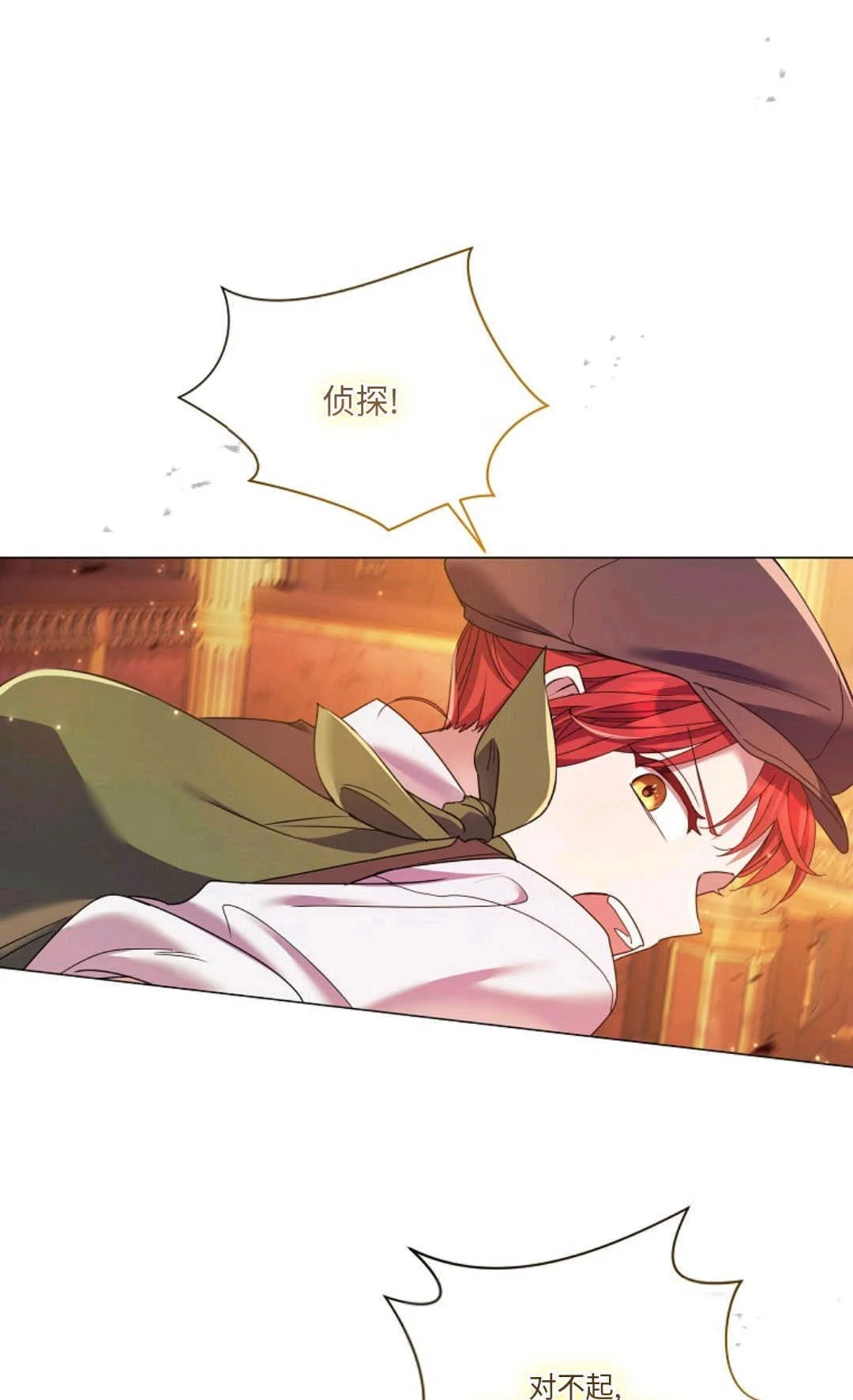 第204页