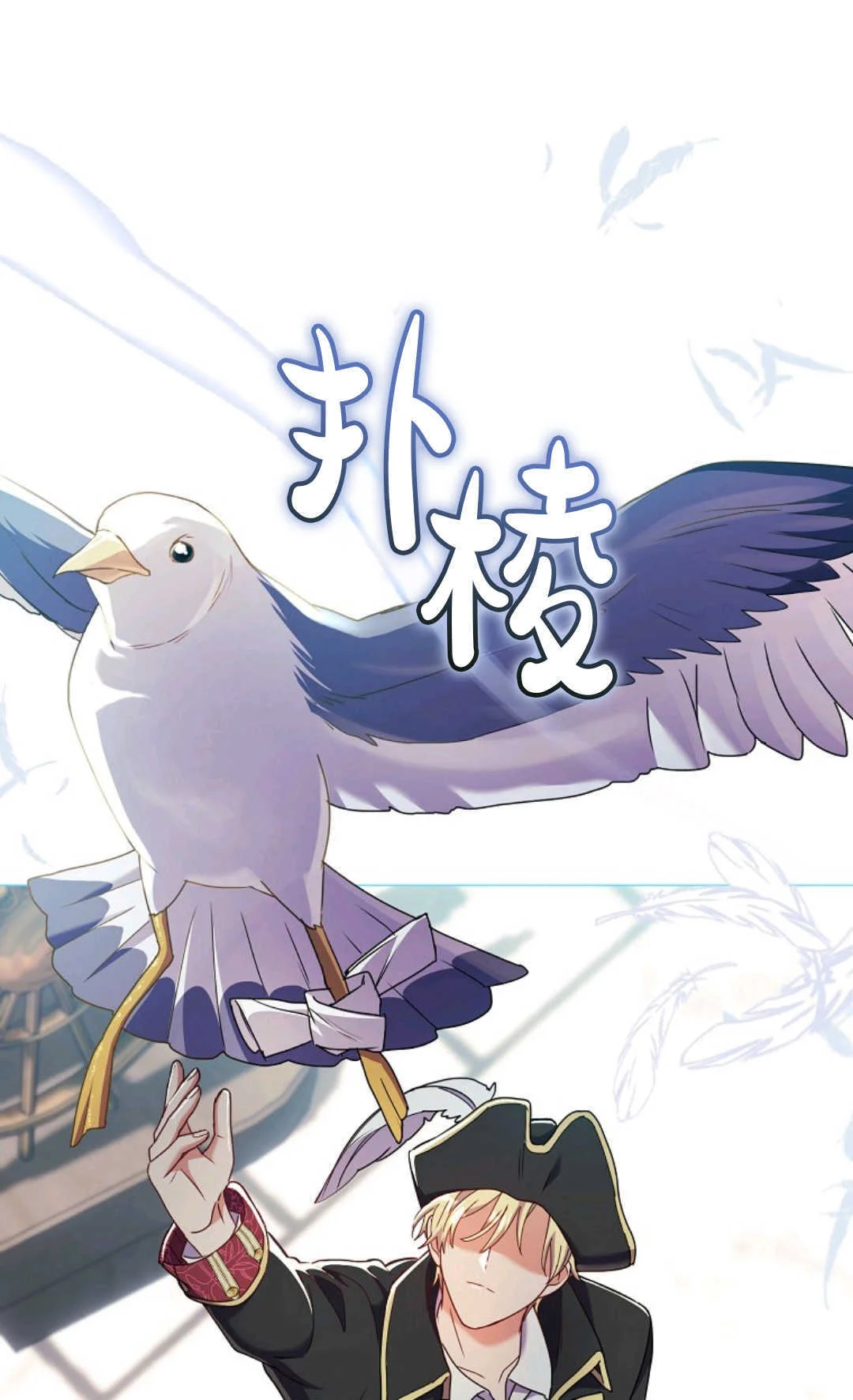 第147页