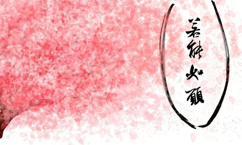 第243页