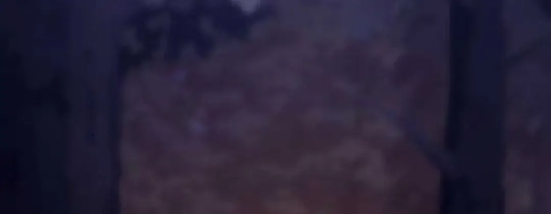 第1074页