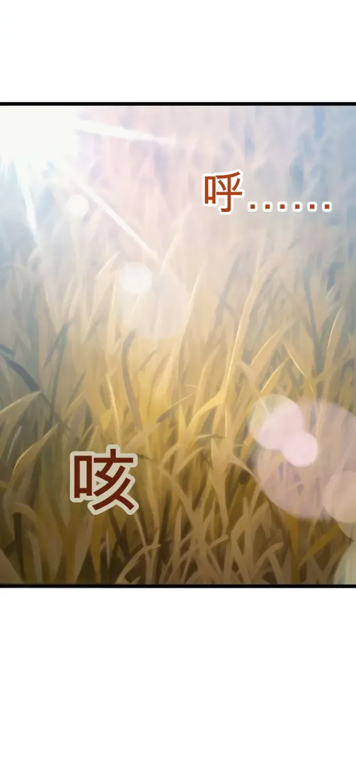 第228页