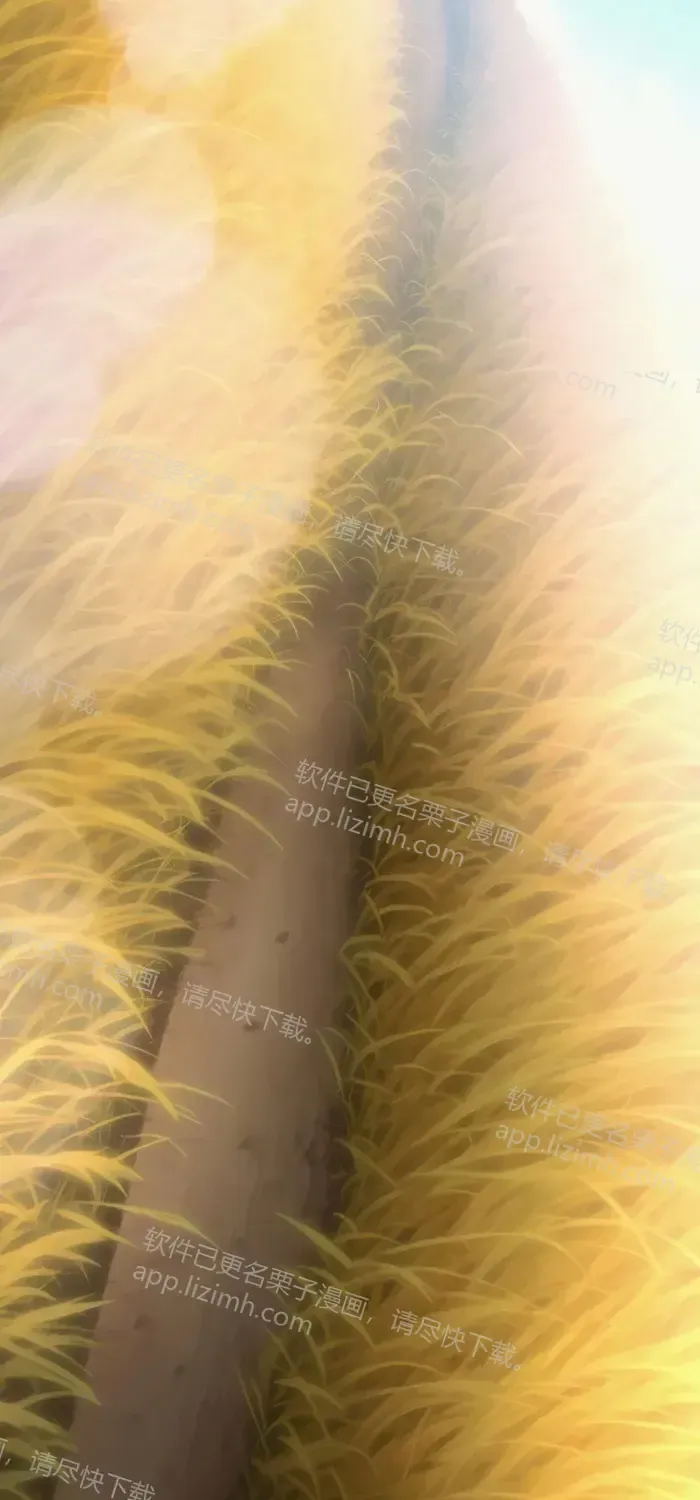 第234页