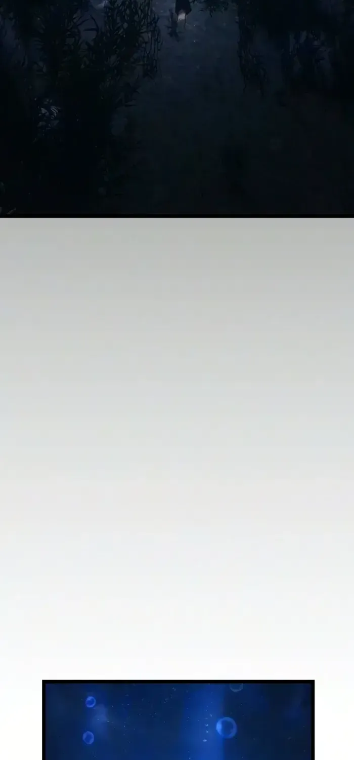第648页