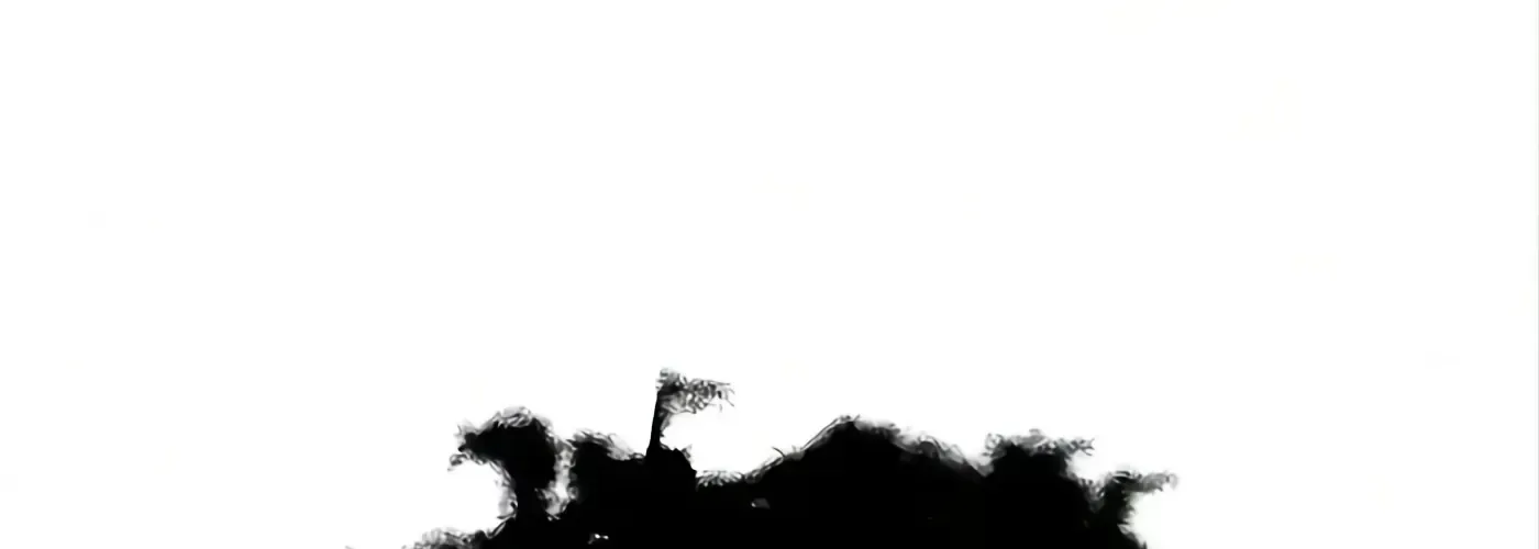 第225页