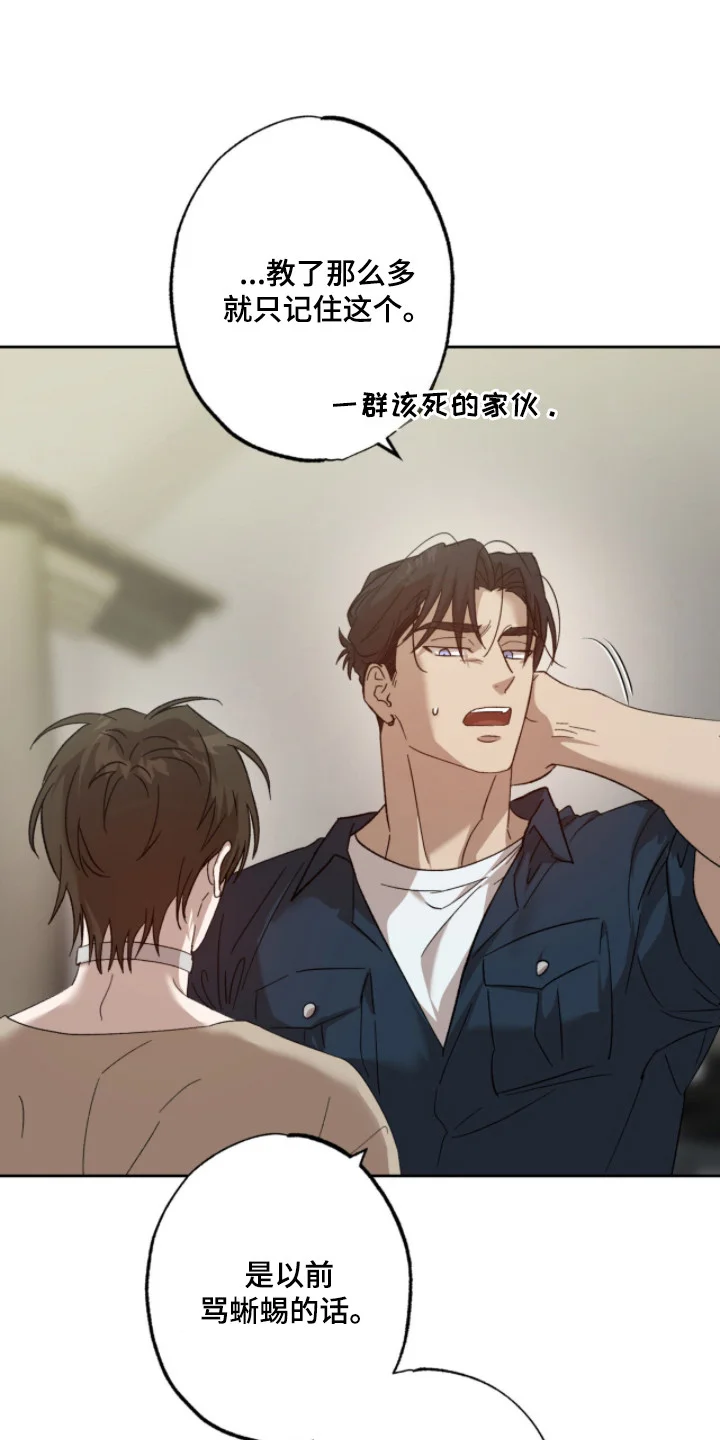 第0页