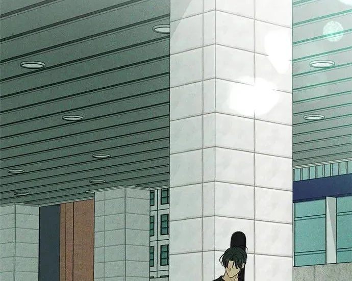 第229页