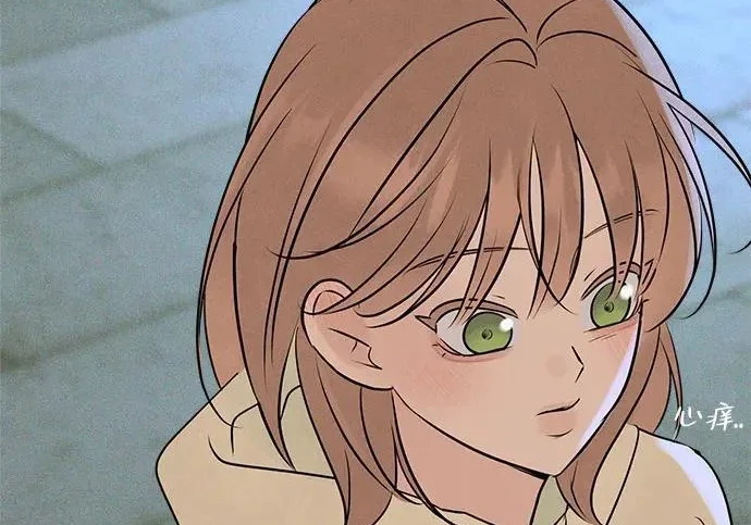 第155页