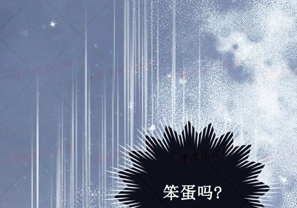 第251页