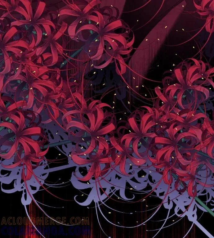 第196页