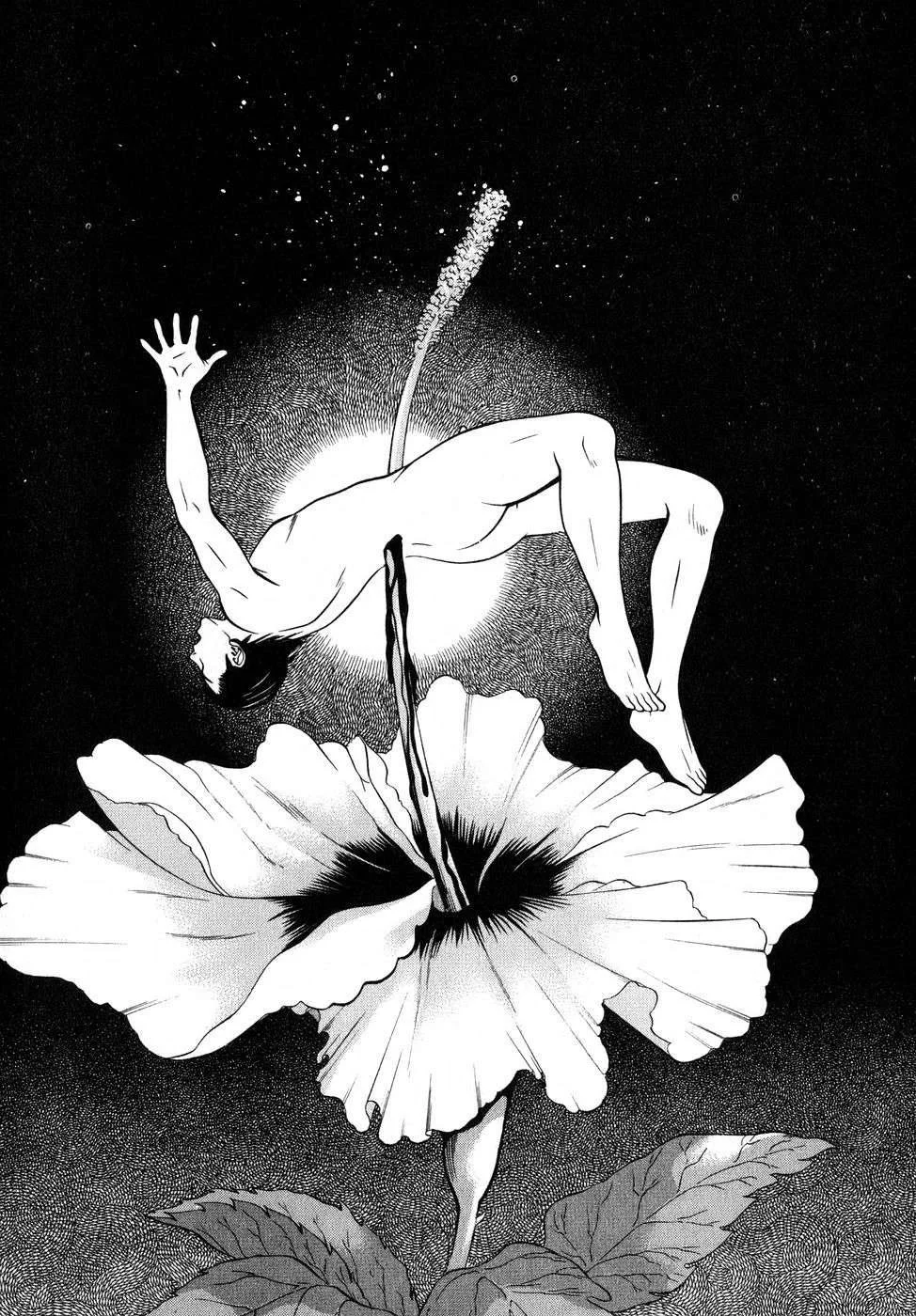 第224页