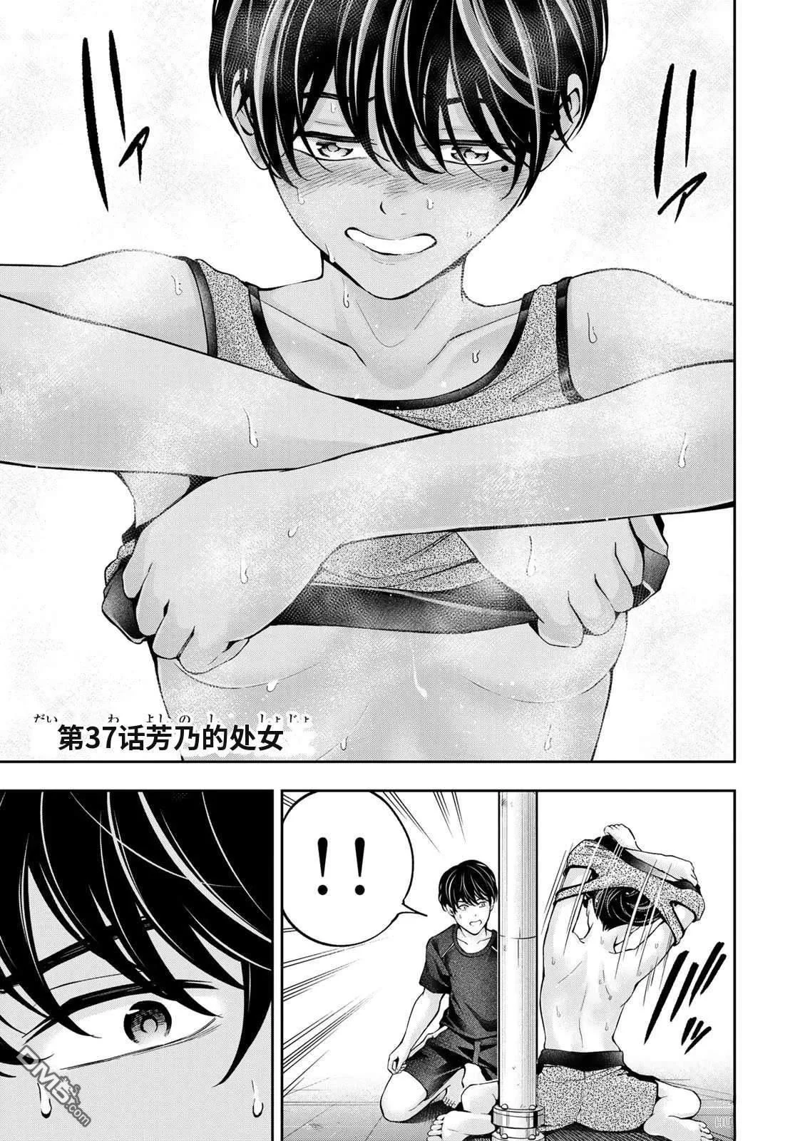 第48页