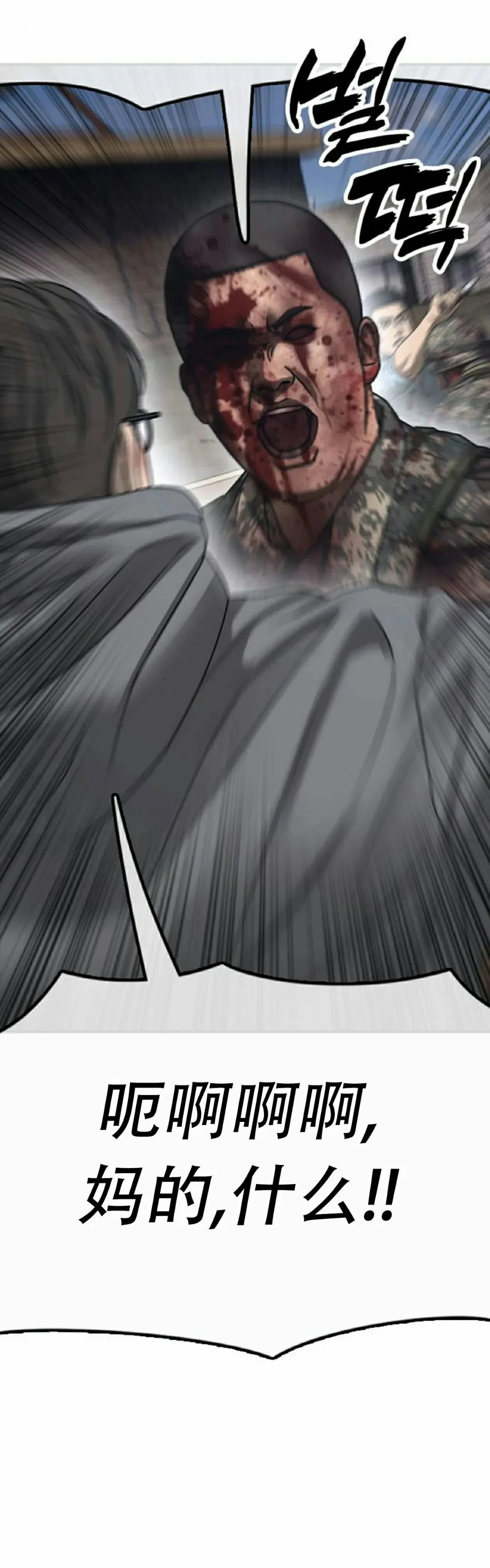 第231页