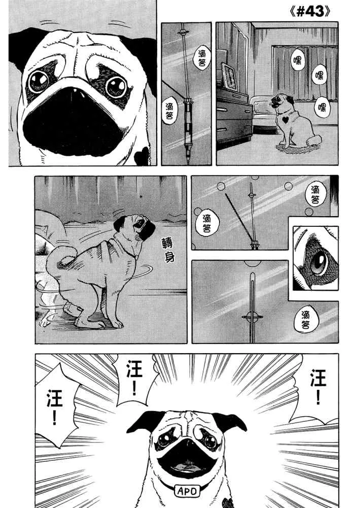 第276页