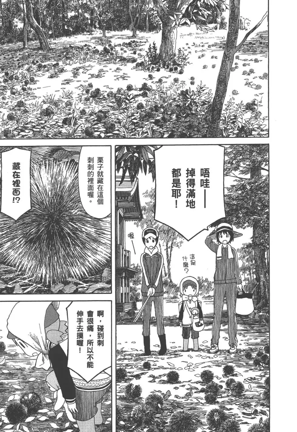 第333页