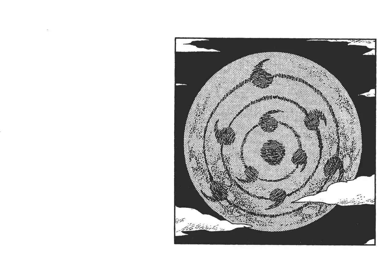 第240页