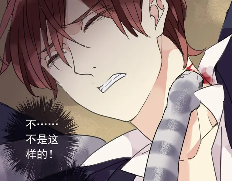 第213页