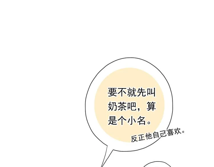 第204页