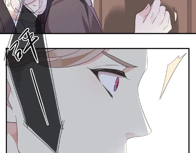 第231页