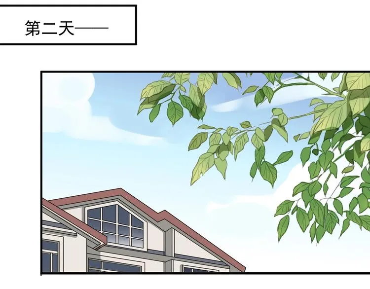 第333页