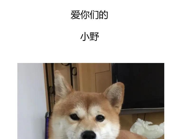 第339页
