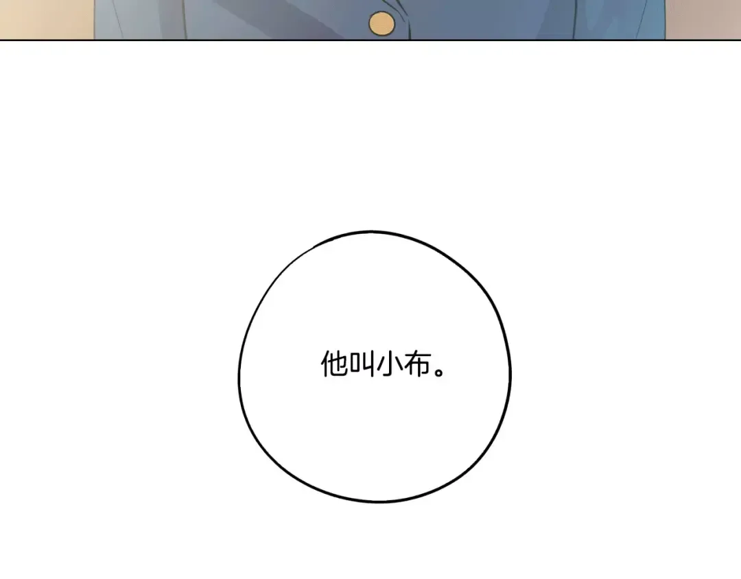 第243页