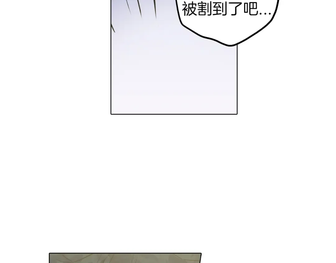 第228页