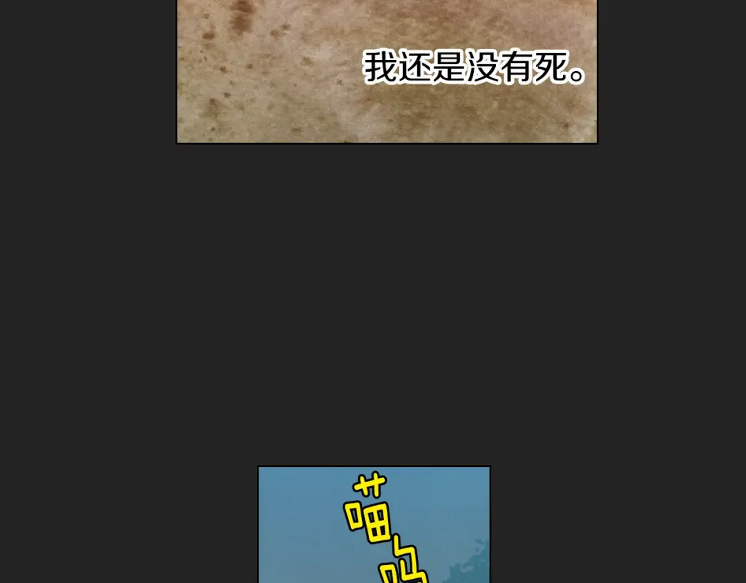 第258页