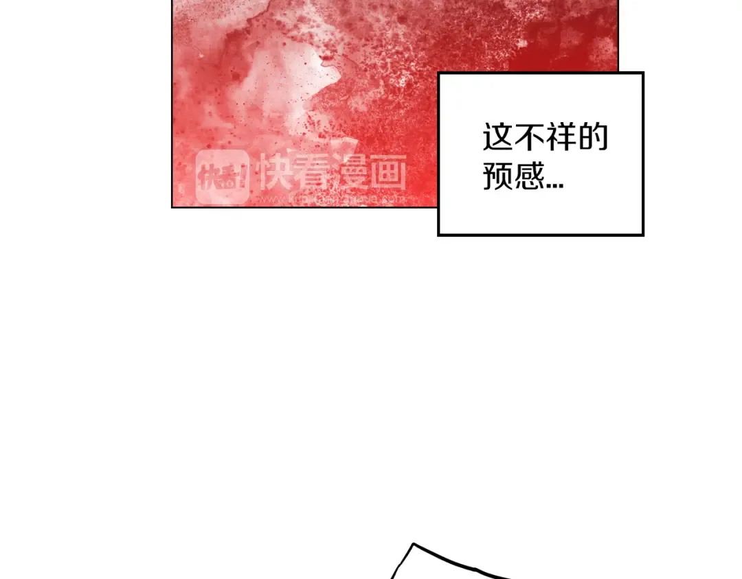第255页