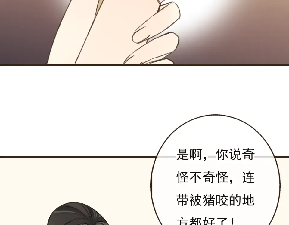 第303页