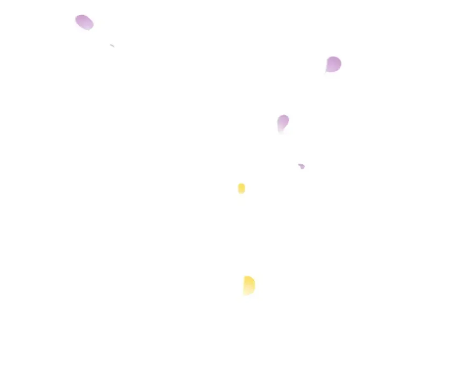 第207页