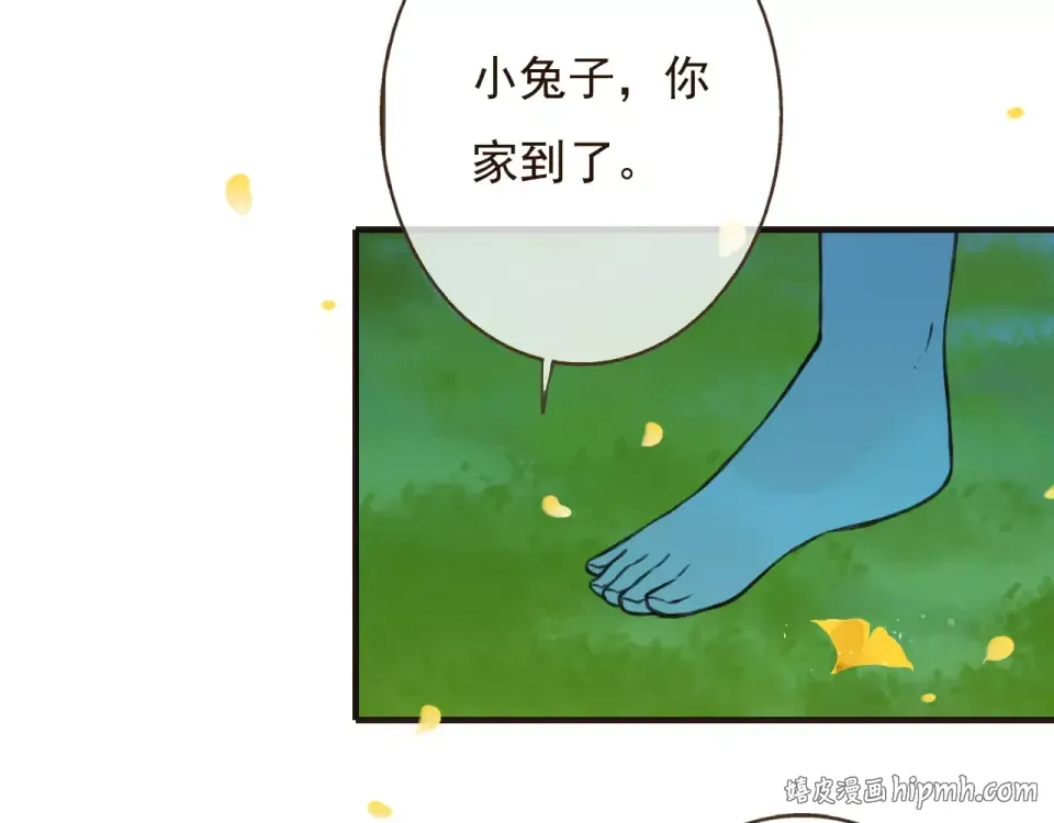 第213页