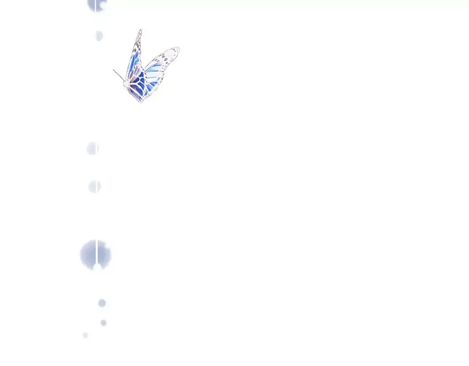 第336页