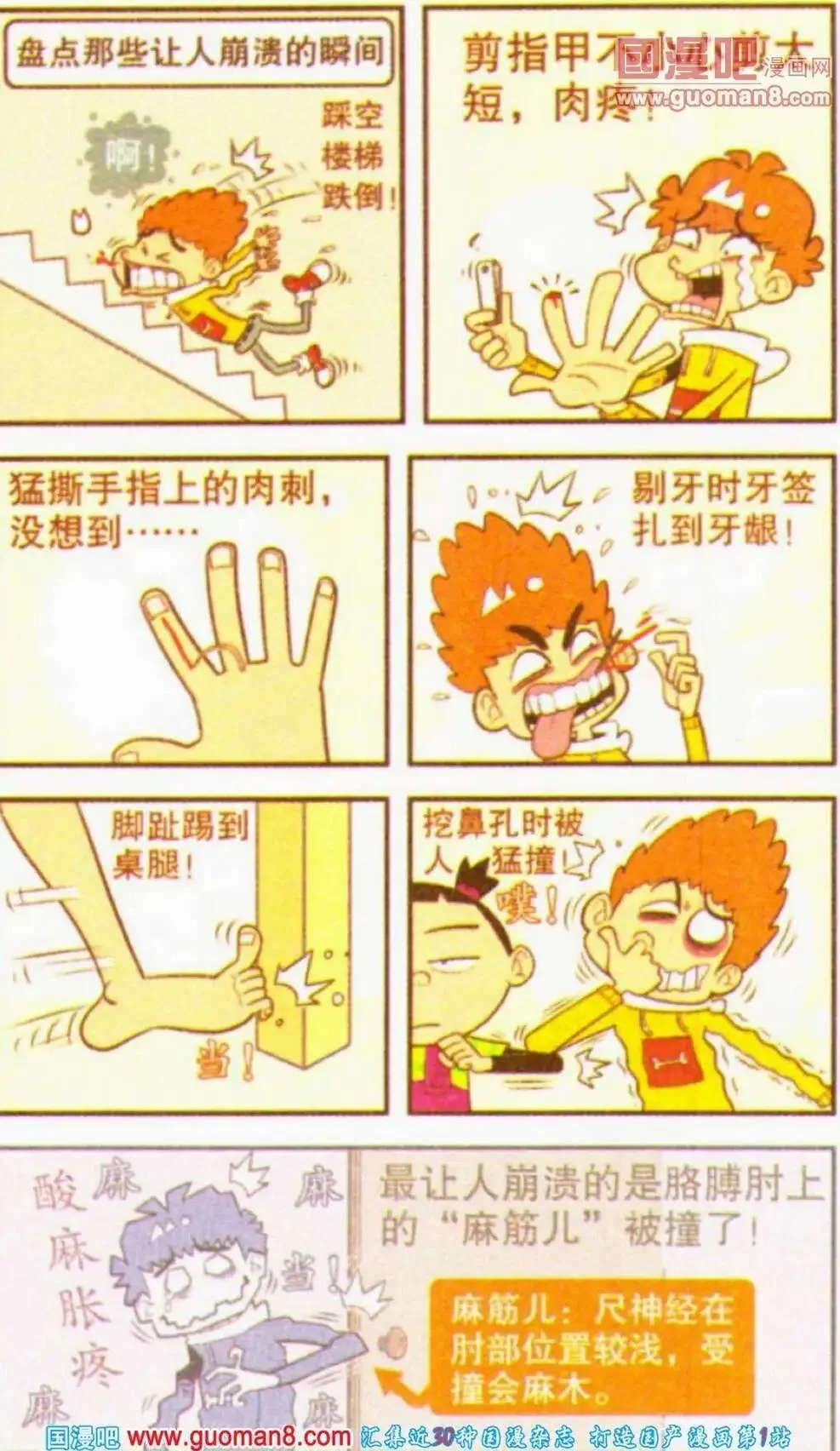 第36页