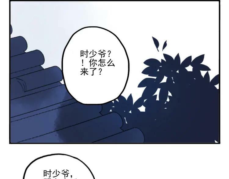 第204页