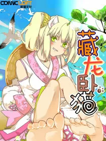 藏龙卧猫