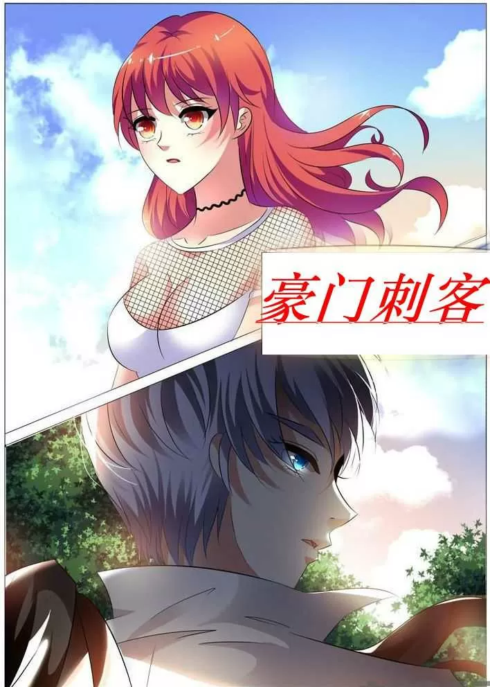 豪门刺客